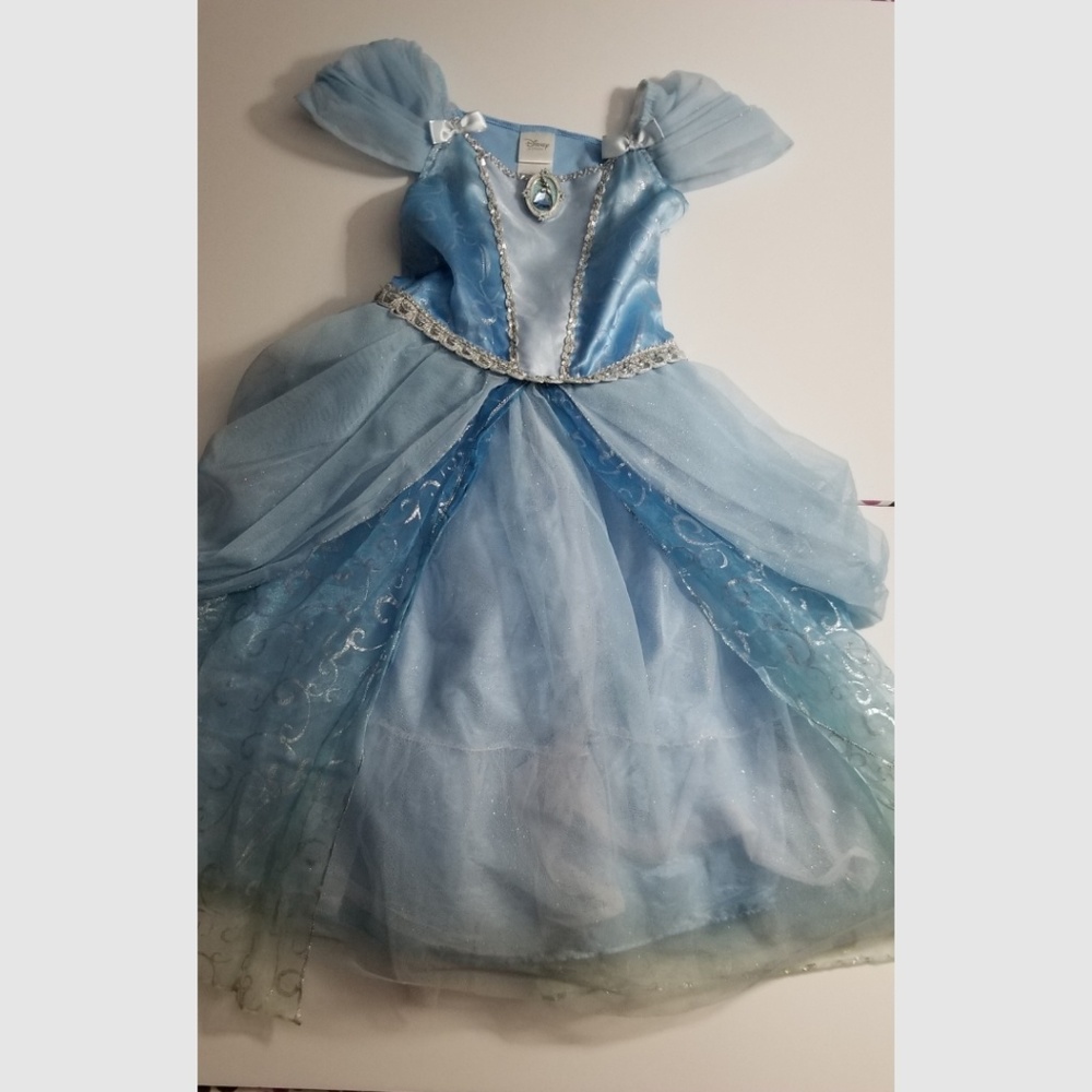 Disney Cinderella Dress Costume